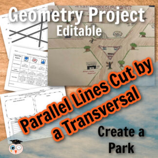 Parallel Lines Cut by a Transversal Project